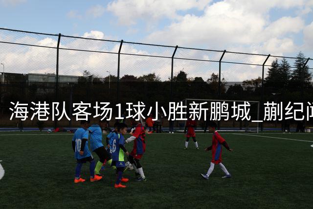 海港队客场1球小胜新鹏城 蒯纪闻迎中超处子球