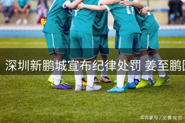 深圳新鹏城宣布纪律处罚 姜至鹏因违规停训停赛